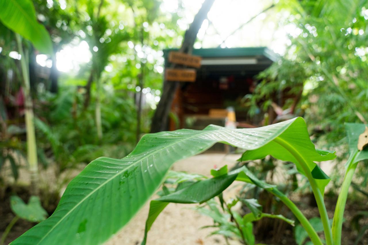 Green Sanctuary Hotel Nosara Esterno foto