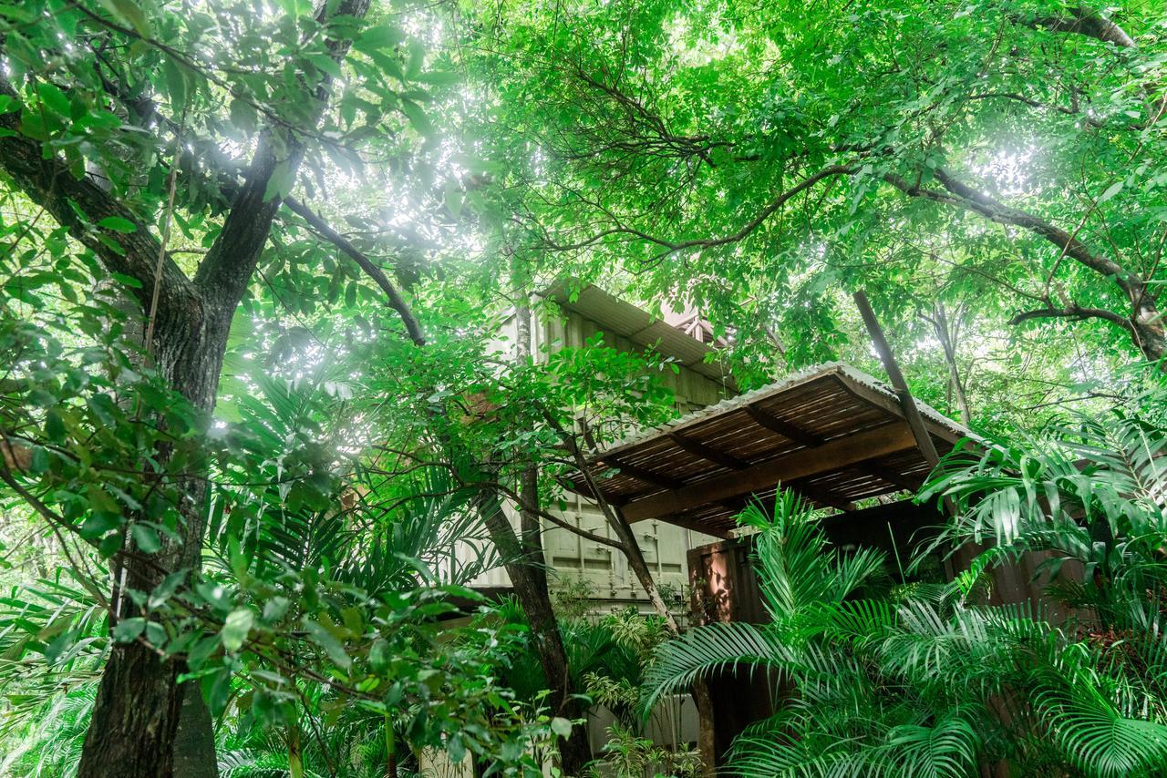 Green Sanctuary Hotel Nosara Esterno foto