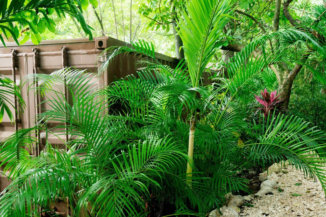 Green Sanctuary Hotel Nosara Esterno foto