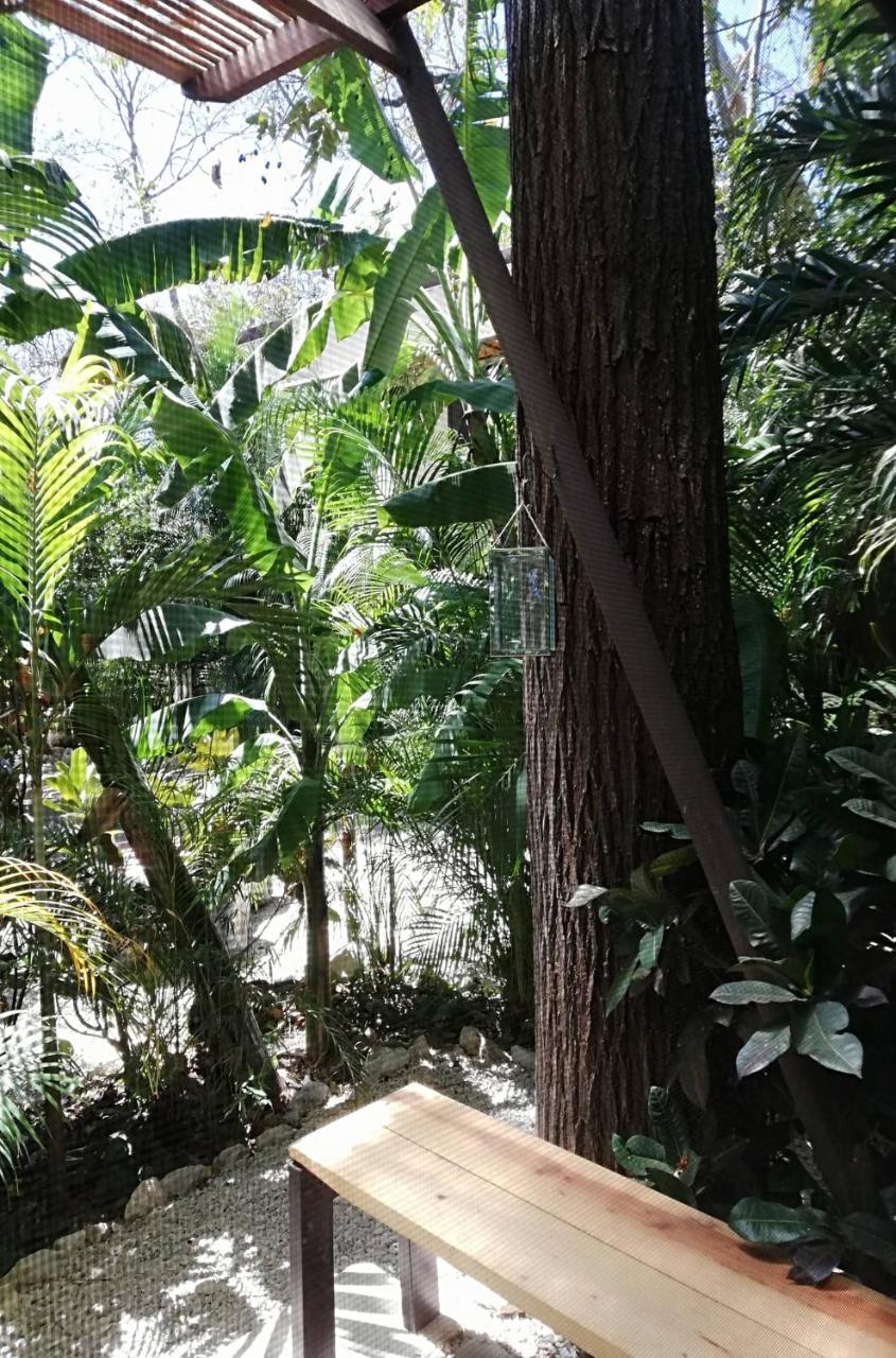 Green Sanctuary Hotel Nosara Esterno foto